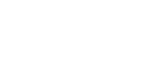 ZED CAPITAL
